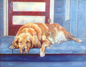 Our dog Many on our back porch